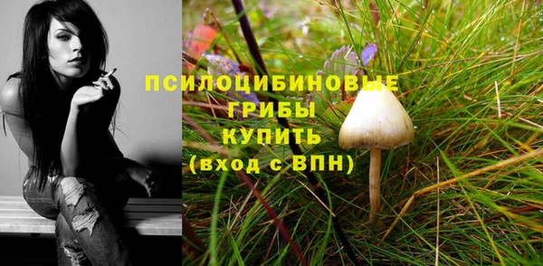 MDMA Дмитров