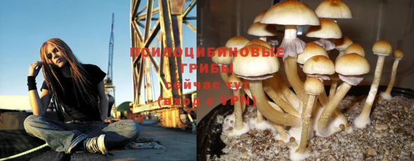 мяу мяу мука Дмитровск