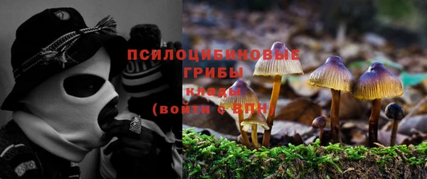 герыч Дмитриев