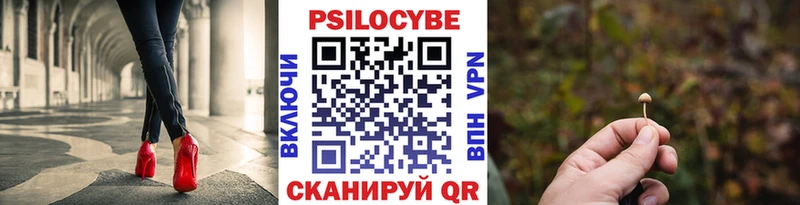 Галлюциногенные грибы MAGIC MUSHROOMS  Купить закладки  Карабаново 